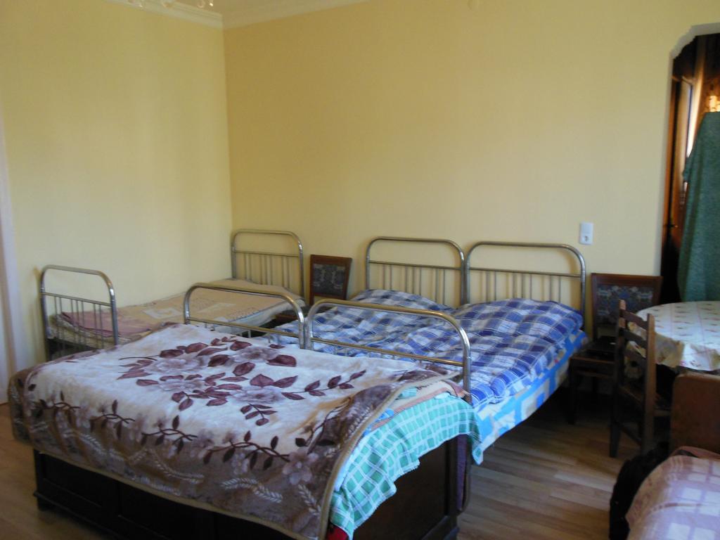 Medico And Suliko Guest House Kutaisi Cameră foto