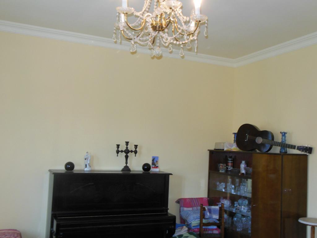 Medico And Suliko Guest House Kutaisi Cameră foto